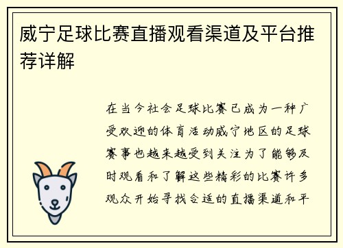 威宁足球比赛直播观看渠道及平台推荐详解